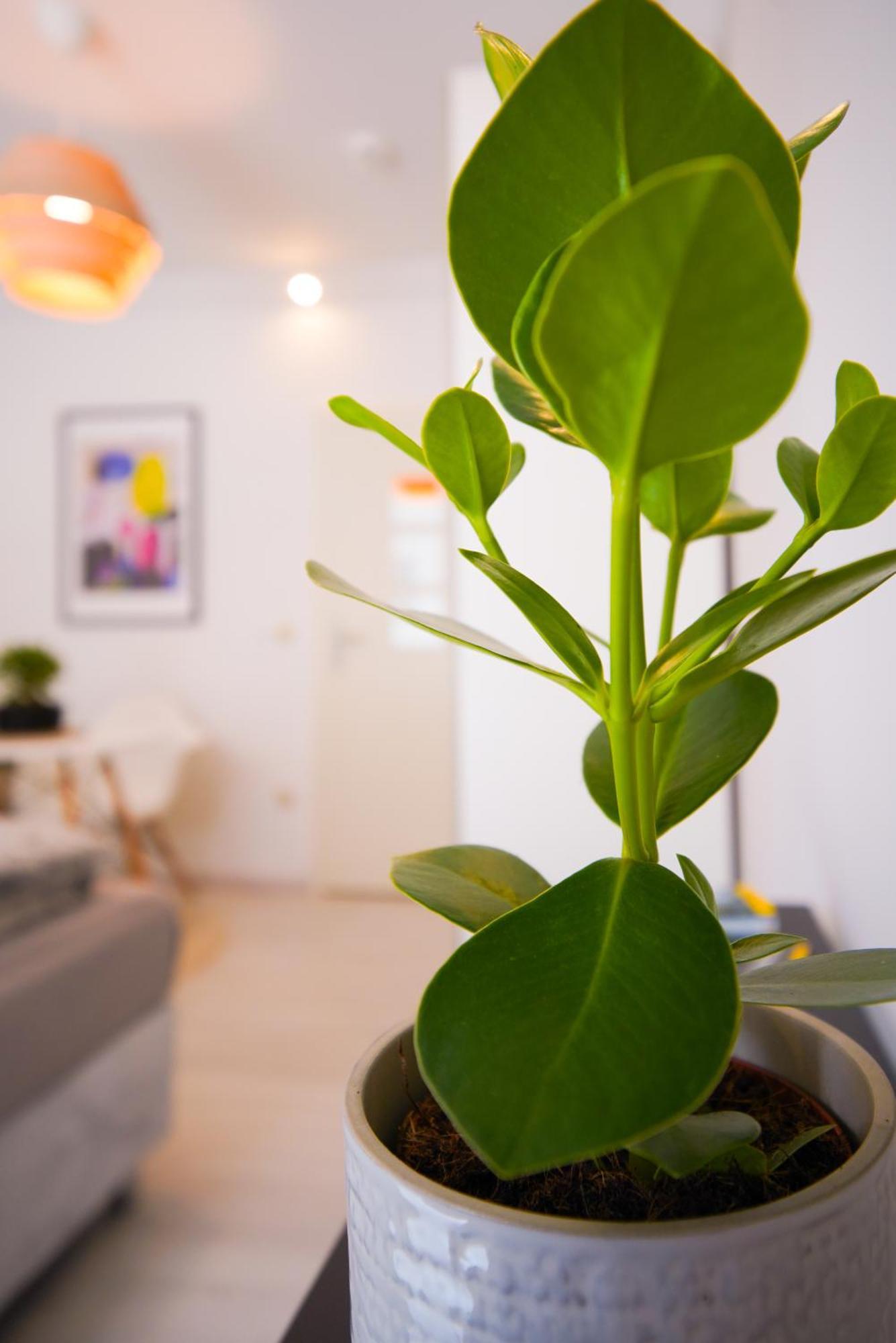 Stilvolles Apartment Im Laessigsten Viertel 뮌헨 외부 사진