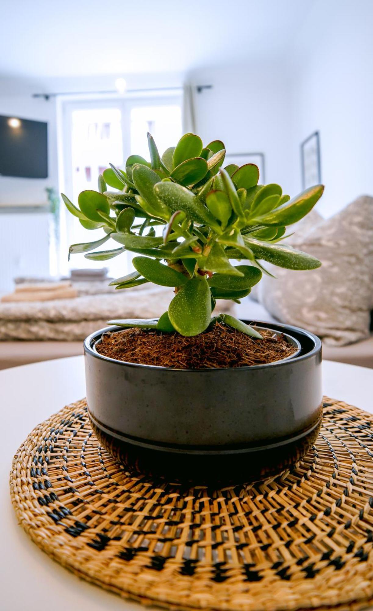 Stilvolles Apartment Im Laessigsten Viertel 뮌헨 외부 사진